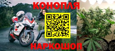 PSILOCYBIN Кунгур