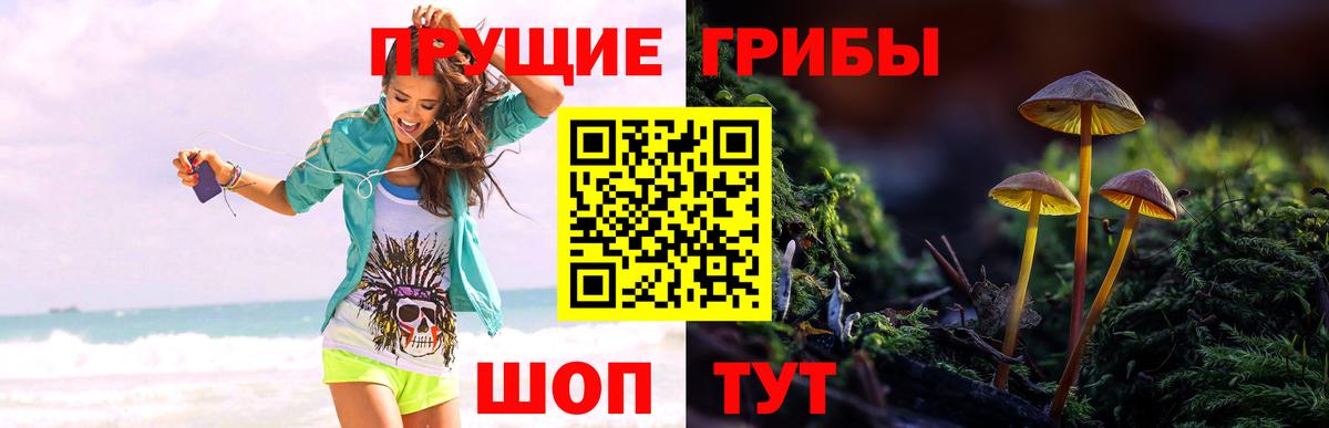 Псилоцибиновые грибы Psilocybe  Вход с VPN  Псилоцибиновые грибы Magic Shrooms  Керчь 